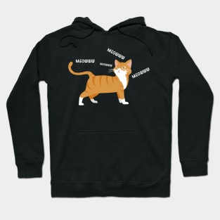 cat orange cute vector cartoon meow Hoodie